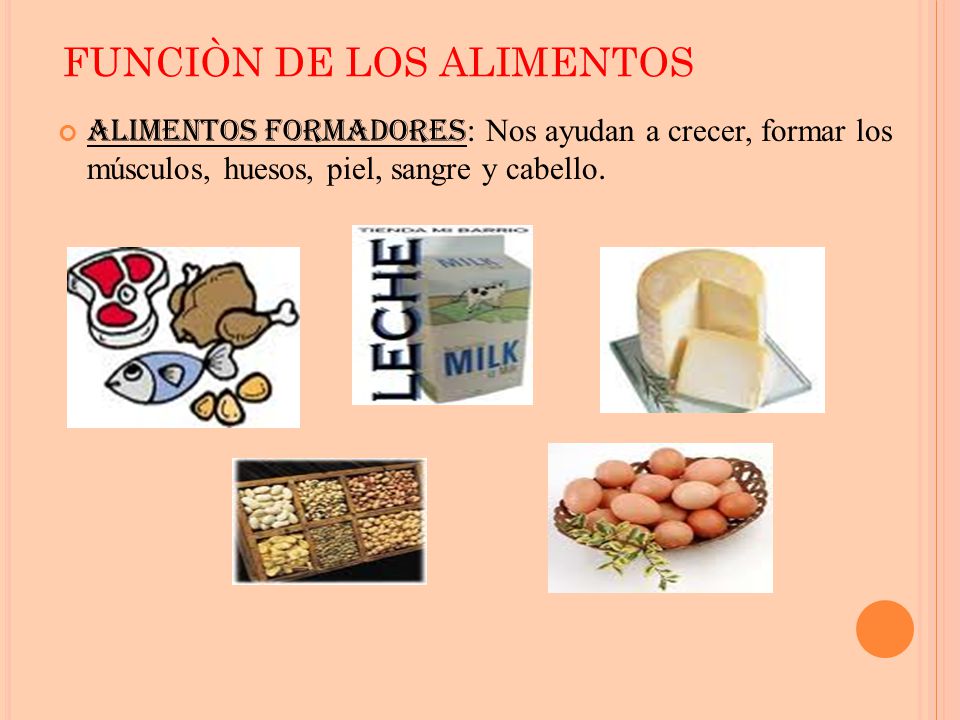 alimentos que ayudan a crecer los huesos